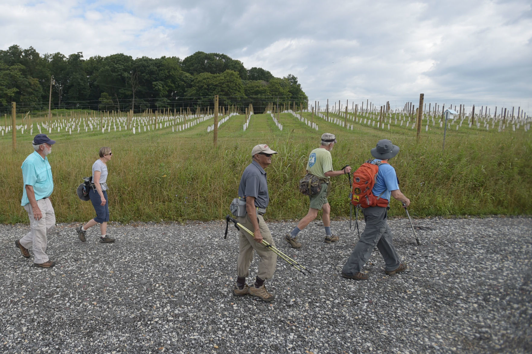 Sweet Briar Hike 01